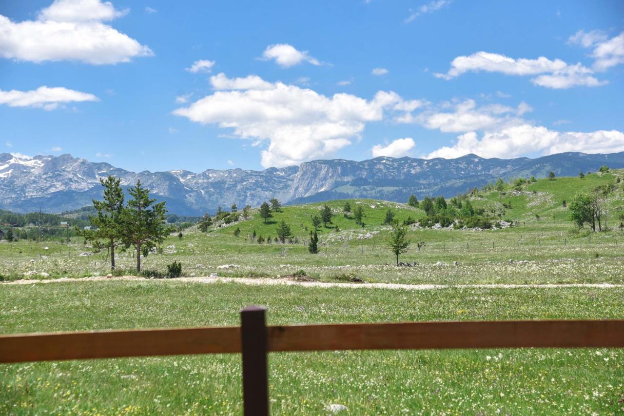 Big bear villas Žabljak Eksteriør billede