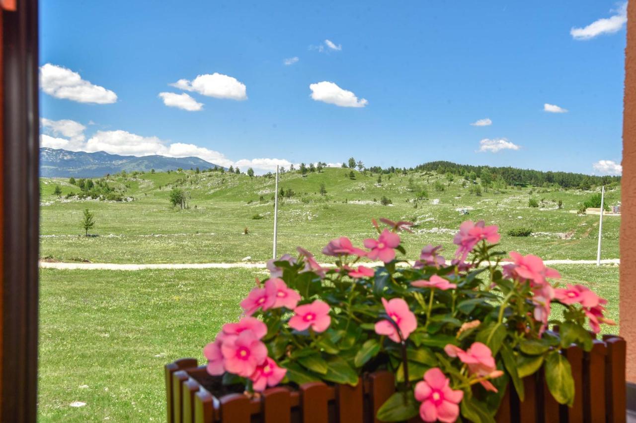 Big bear villas Žabljak Eksteriør billede